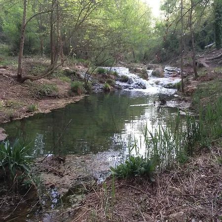 Morei Orpí