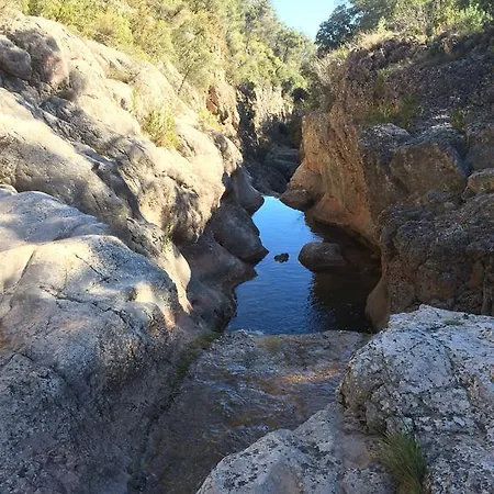 Morei Orpí
